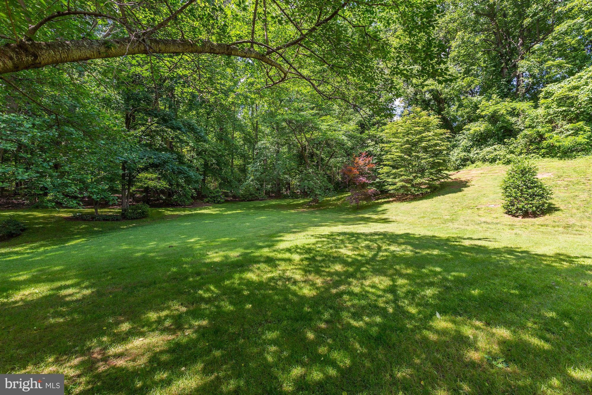 8813 Belmart Road Potomac, MD 20854 - Photo 22 of 23 Vista