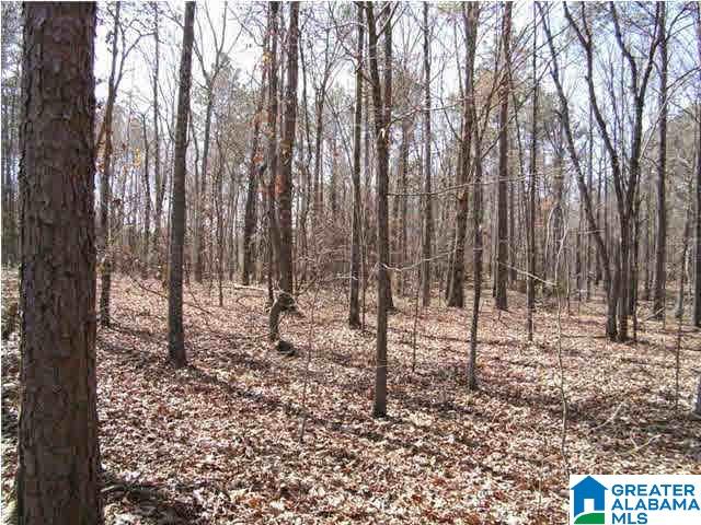 185 Glade Road Talladega, AL 35160 - Photo 1 of 3