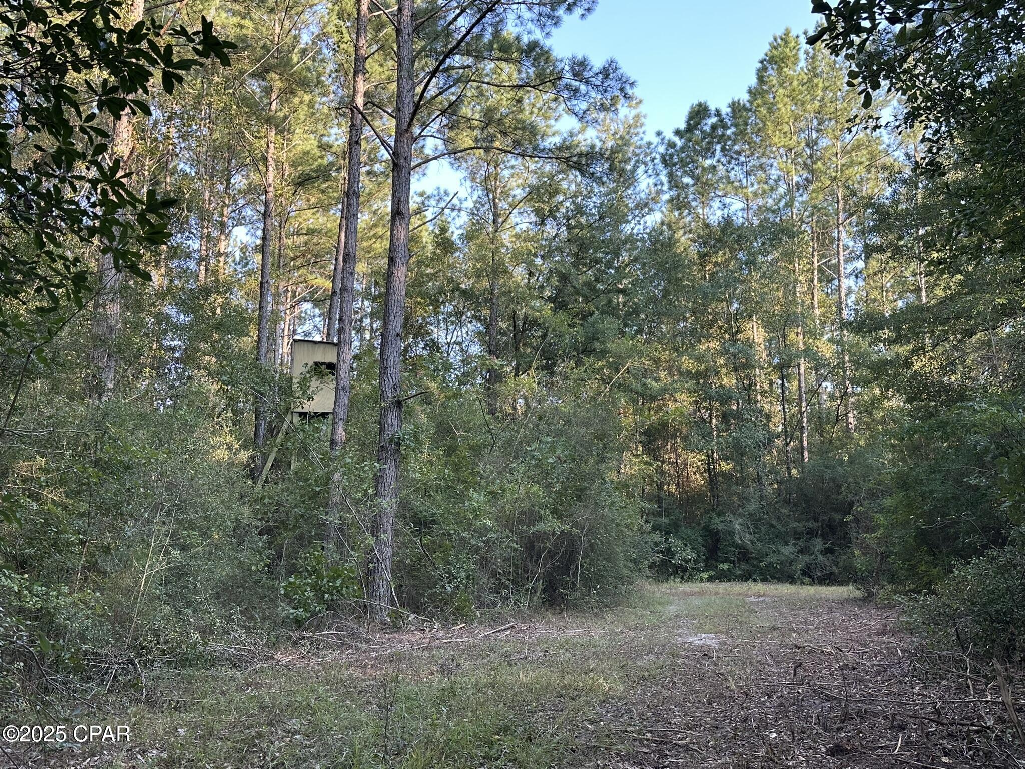 Tract#6201 Doyle Morgan Road DeFuniak Springs, FL 32433 - Photo 21 of 39