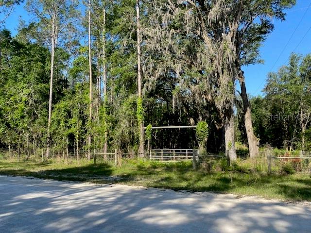 Tbd Southwest Henderson Terrace Fort White, FL 32038 - Photo 1 of 1 Gallery Image 1
