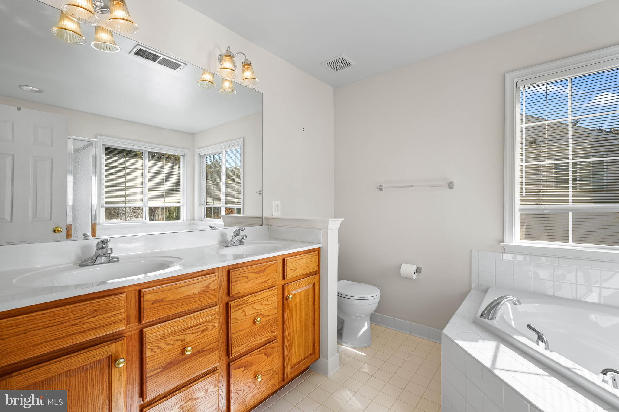 8256 Shannons Landing Way Lorton, VA 22079 - Photo 22 of 46 Primary Bathroom