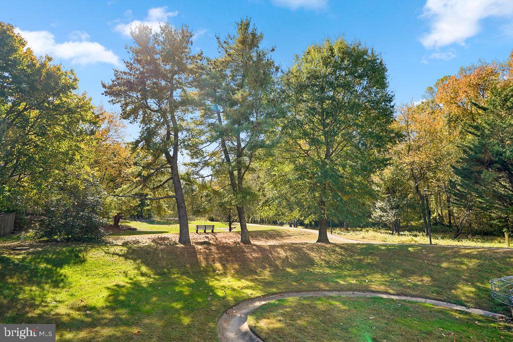 8256 Shannons Landing Way Lorton, VA 22079 - Photo 39 of 46