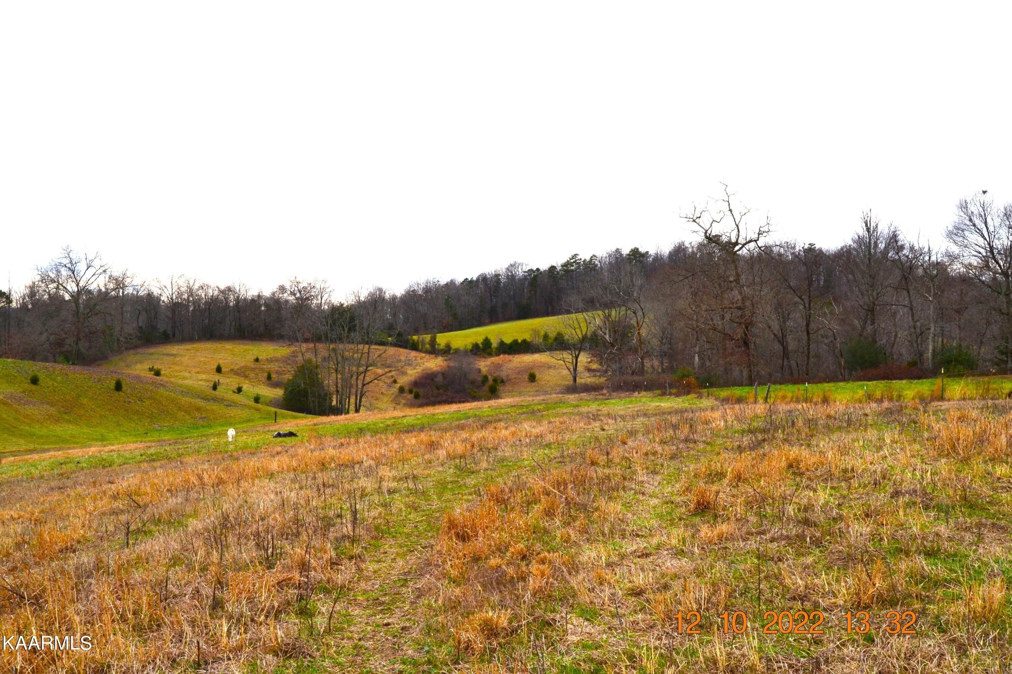 4 Cain Road Sharps Chapel, TN 37866 - Photo 14 of 17 Gallery Image 14