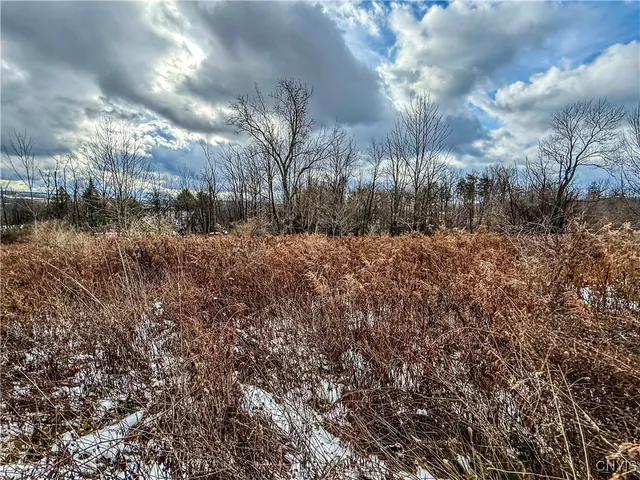 $45,000 | 0 Route 20 Cazenovia Ny 13035, Cazenovia, NY 13035