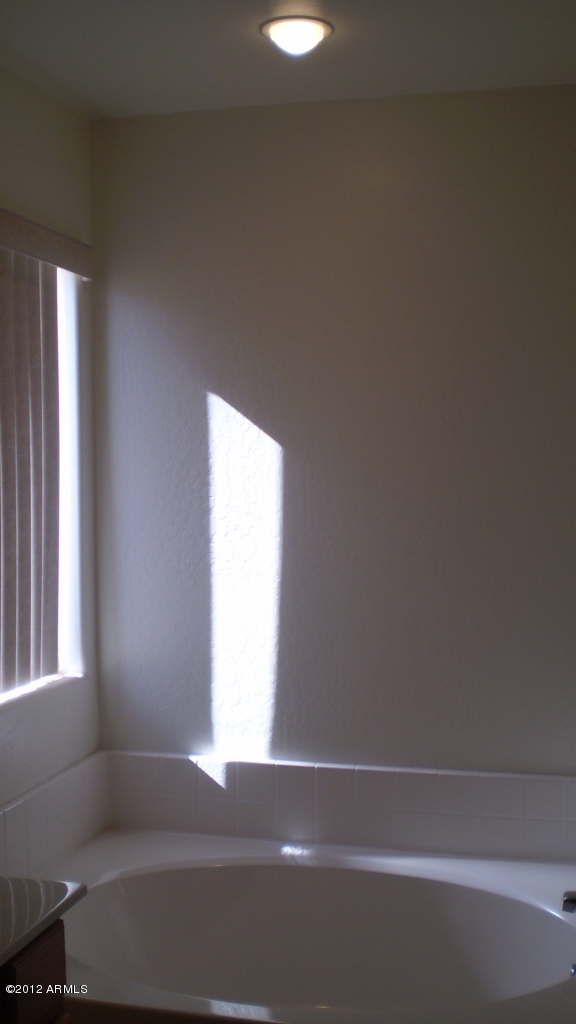 2538 West Maldonado Road Phoenix, AZ 85041 - Photo 8 of 16 tub