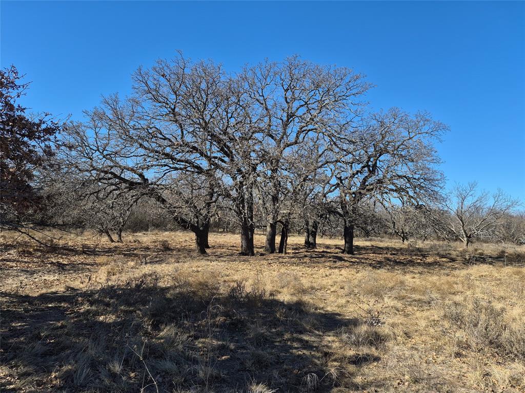 a view of open space with trees