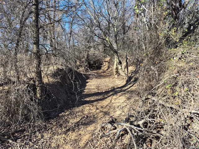 $425,000 | 1168 Shepard Lane, Loving, TX 76460