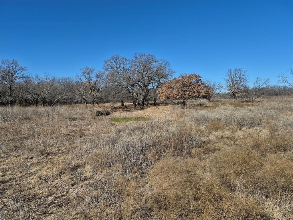 1168 Shepard Lane Loving, TX 76460 - Photo 12 of 20 a view of mountain view with large trees