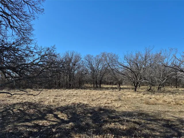 $425,000 | 1168 Shepard Lane, Loving, TX 76460