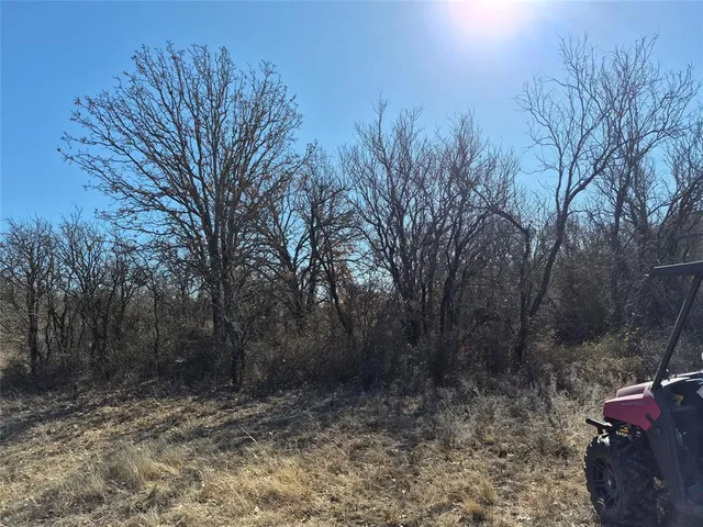 $425,000 | 1168 Shepard Lane, Loving, TX 76460