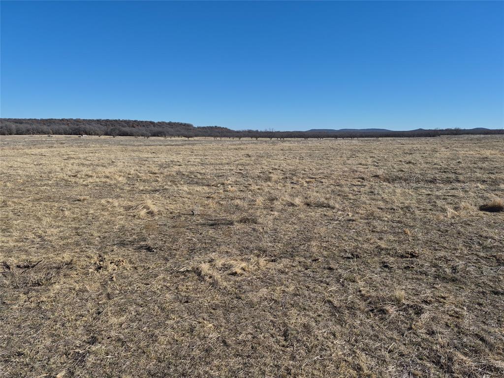 1168 Shepard Lane Loving, TX 76460 - Photo 6 of 20 a view of an ocean