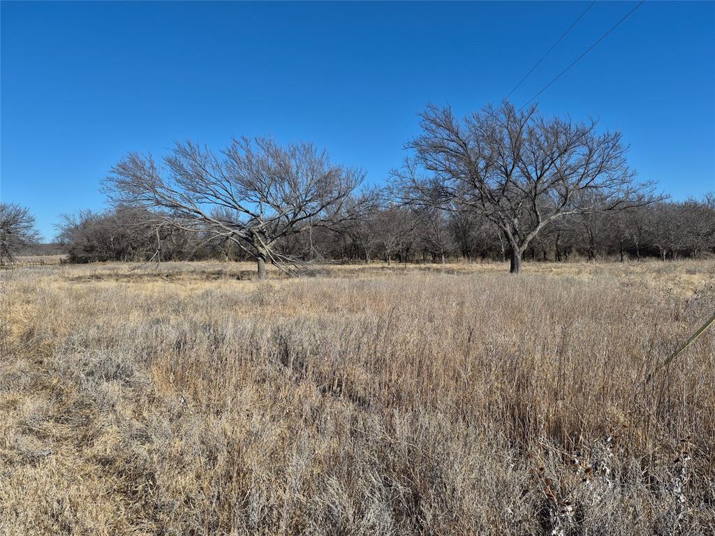 1168 Shepard Lane Loving, TX 76460 - Photo 7 of 20 a view of a field with a tree in it