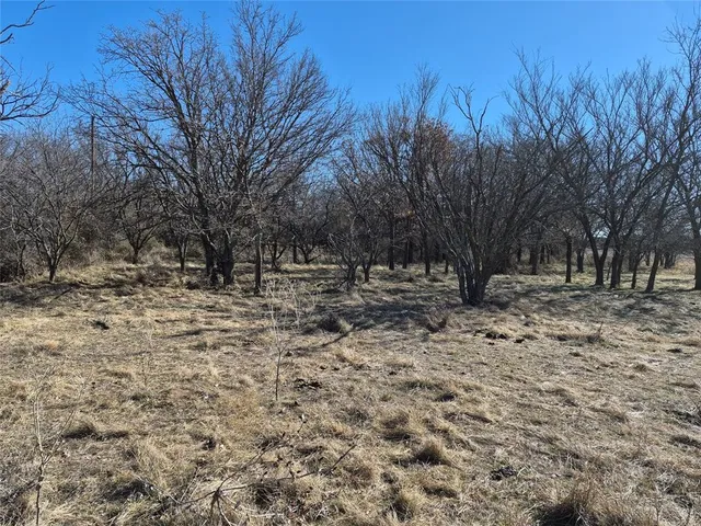 $425,000 | 1168 Shepard Lane, Loving, TX 76460