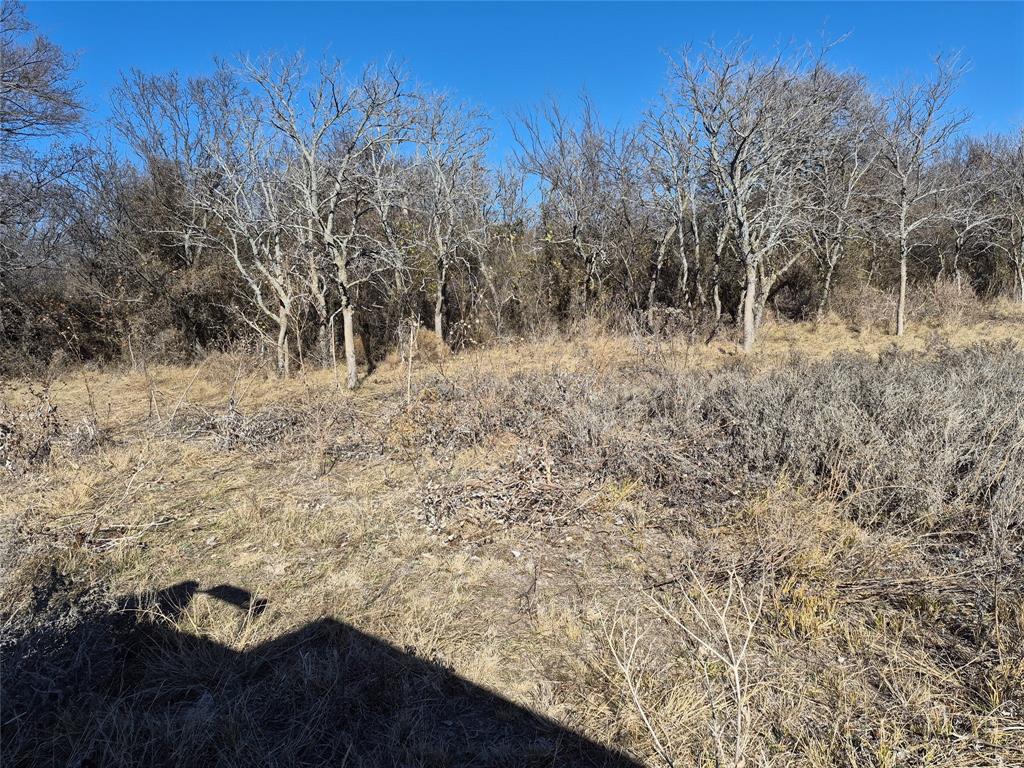 1168 Shepard Lane Loving, TX 76460 - Photo 9 of 20 a view of a yard with an trees