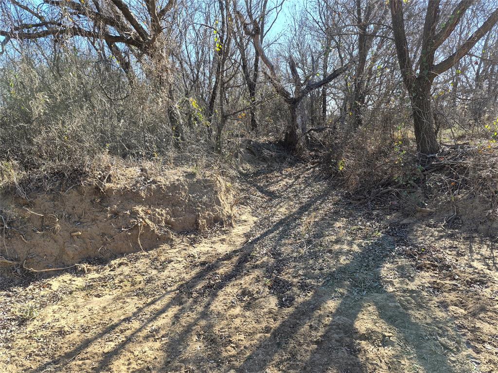 1168 Shepard Lane Loving, TX 76460 - Photo 10 of 20 a view of forest