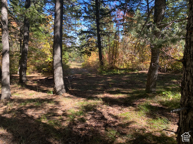 St, Unit 56 Bancroft, ID 83217 - Photo 9 of 17