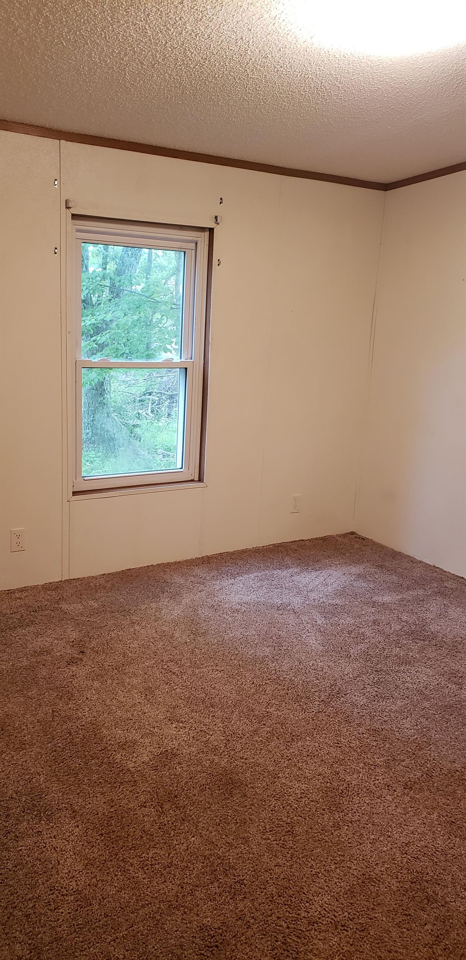 39 Bluff Road St. Joseph, TN 38481 - Photo 5 of 7 bedroom
