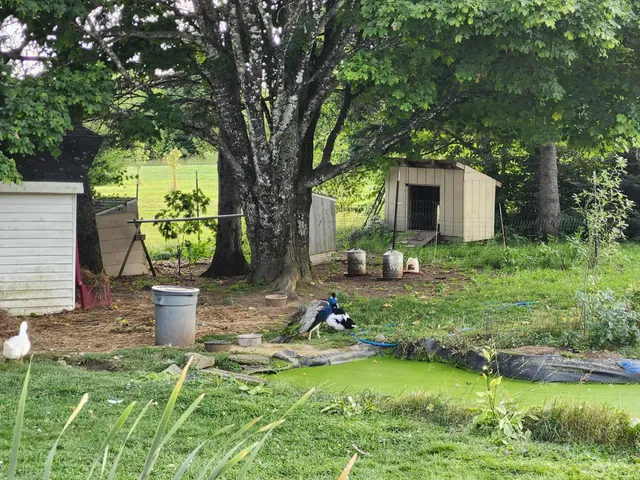 $338,500 | 1055 Westmanland Road, Westmanland, ME 04783