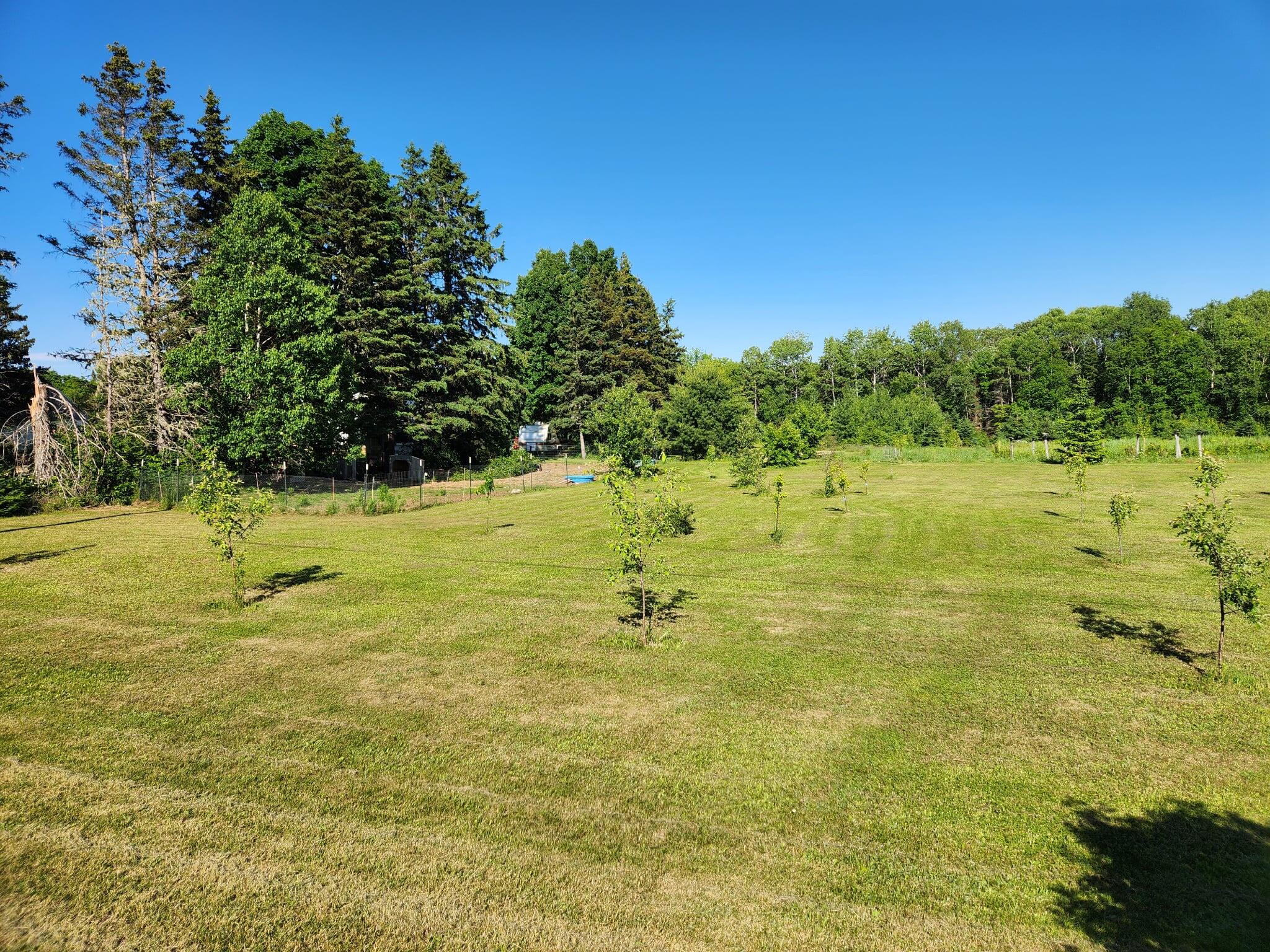 1055 Westmanland Road Westmanland, ME 04783 - Photo 29 of 47 44