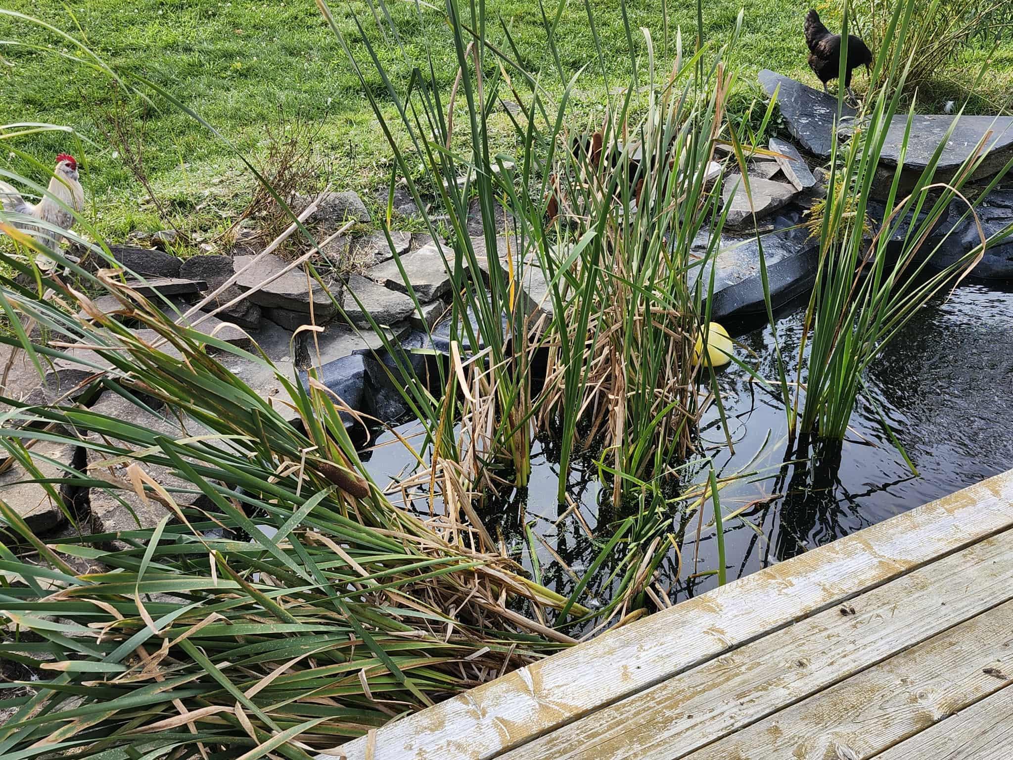 1055 Westmanland Road Westmanland, ME 04783 - Photo 32 of 47 19