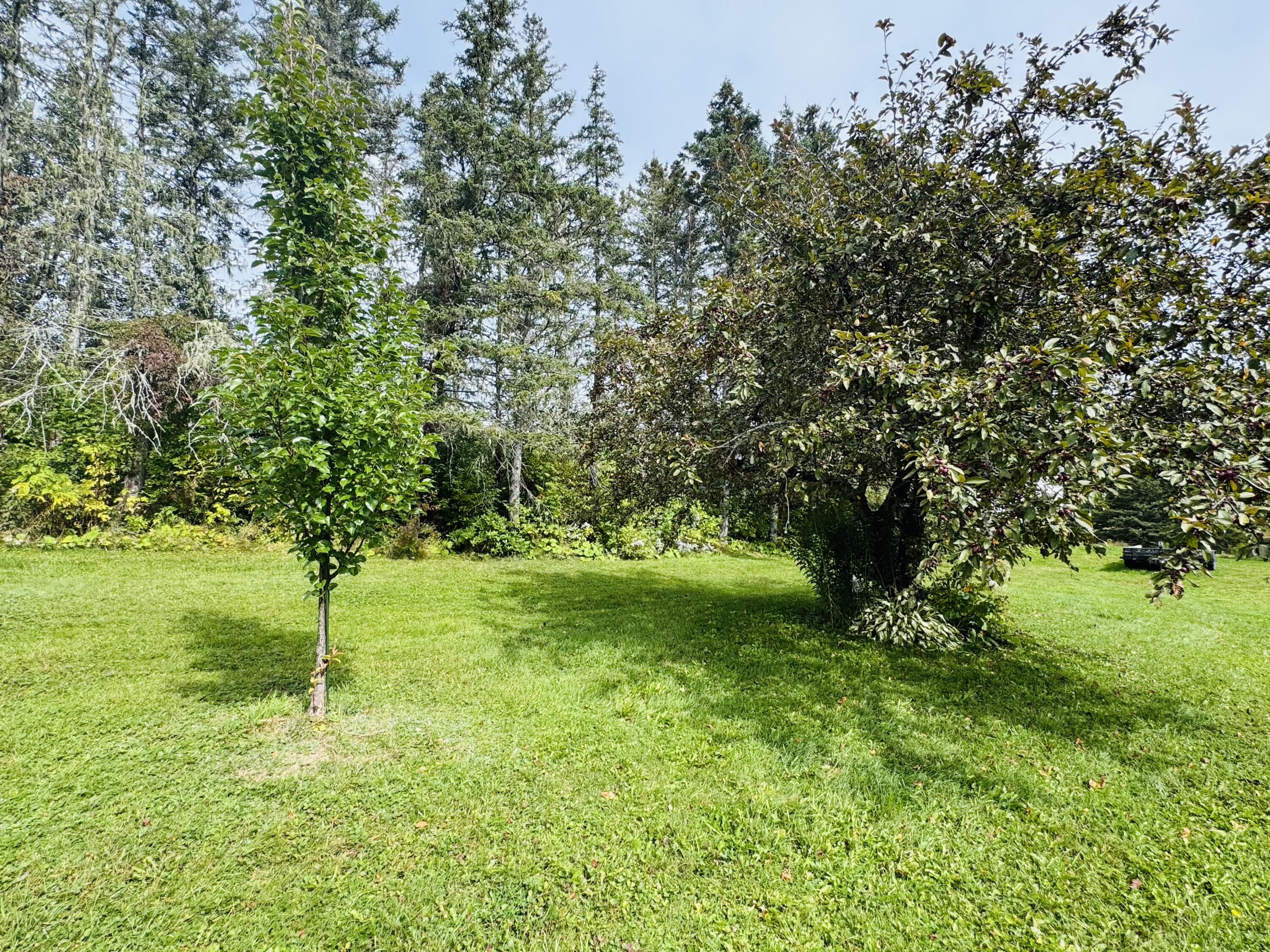 1055 Westmanland Road Westmanland, ME 04783 - Photo 6 of 47 IMG_6654