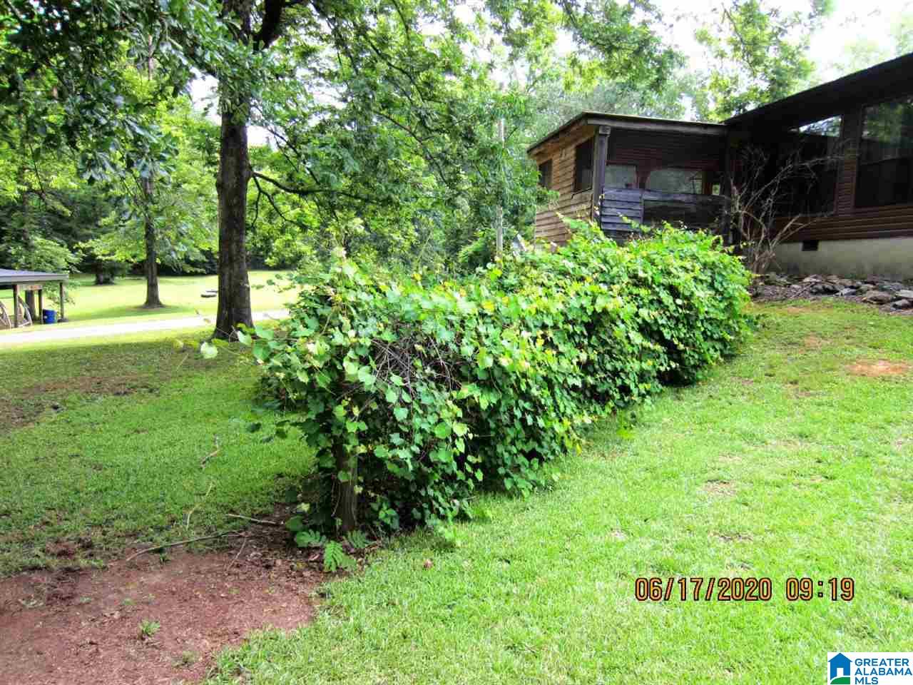 2141 Pleasant Grove Road Lineville, AL 36266 - Photo 20 of 24