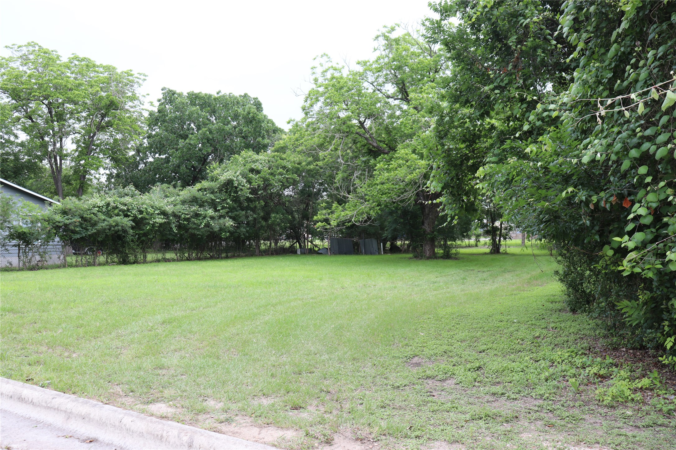 1006 Johnson Street Lockhart, TX 78644 - Photo 9 of 10 Expansive grassy lot featuring mature trees and established perimeter shrubbery