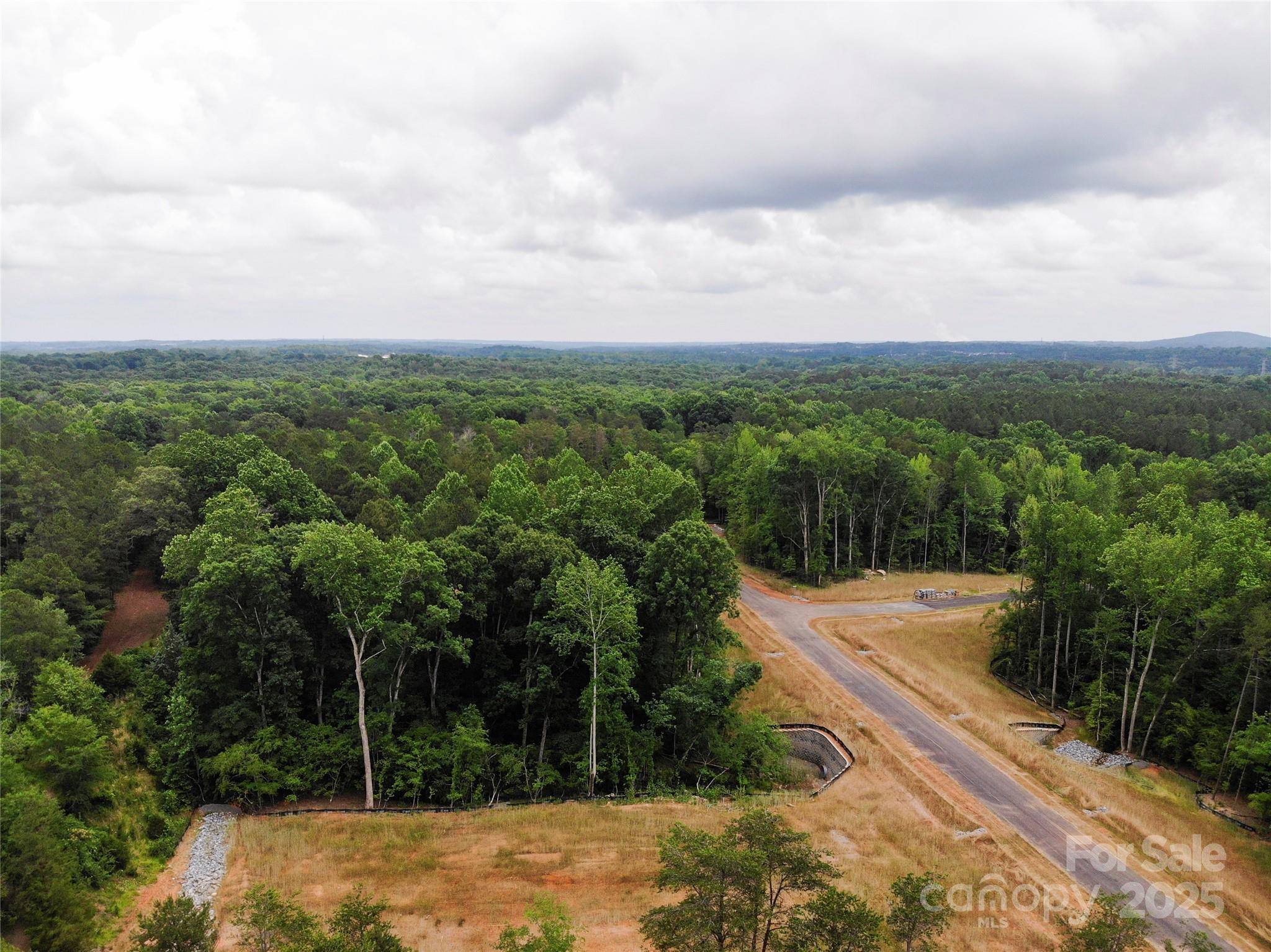 Lot 35 Snow Goose Walk Clover, SC 29710 - Photo 10 of 13 a view of a backyard