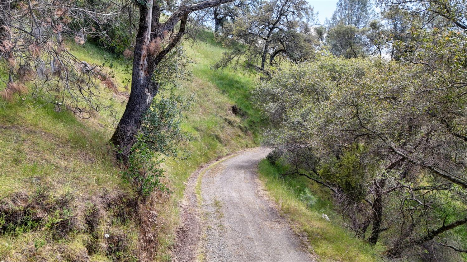 3466 Howard Road San Andreas, CA 95249 - Photo 43 of 61