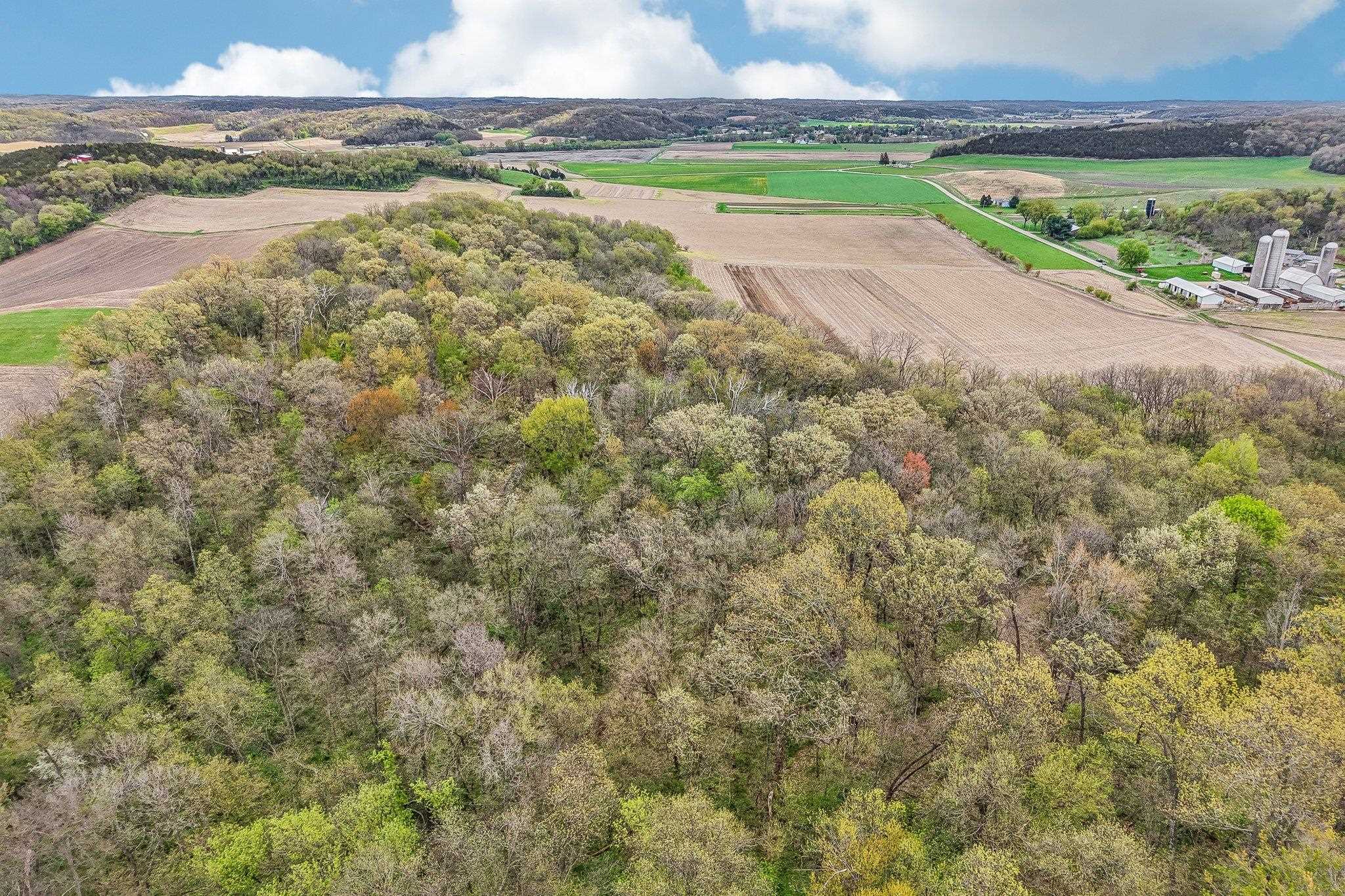 104-acres Fesenfeld Road Black Earth, WI 53515 - Photo 3 of 10
