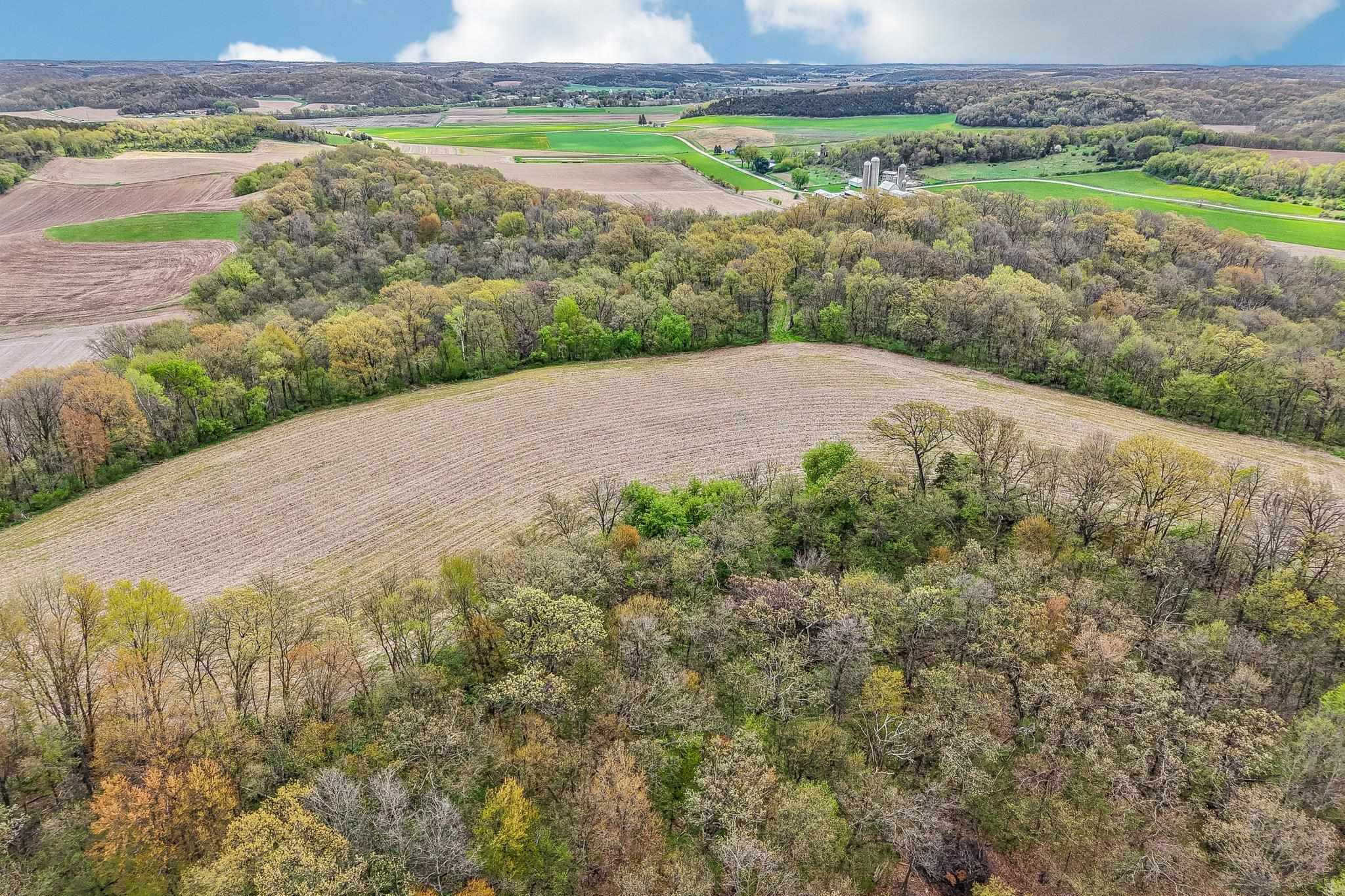 104-acres Fesenfeld Road Black Earth, WI 53515 - Photo 5 of 10