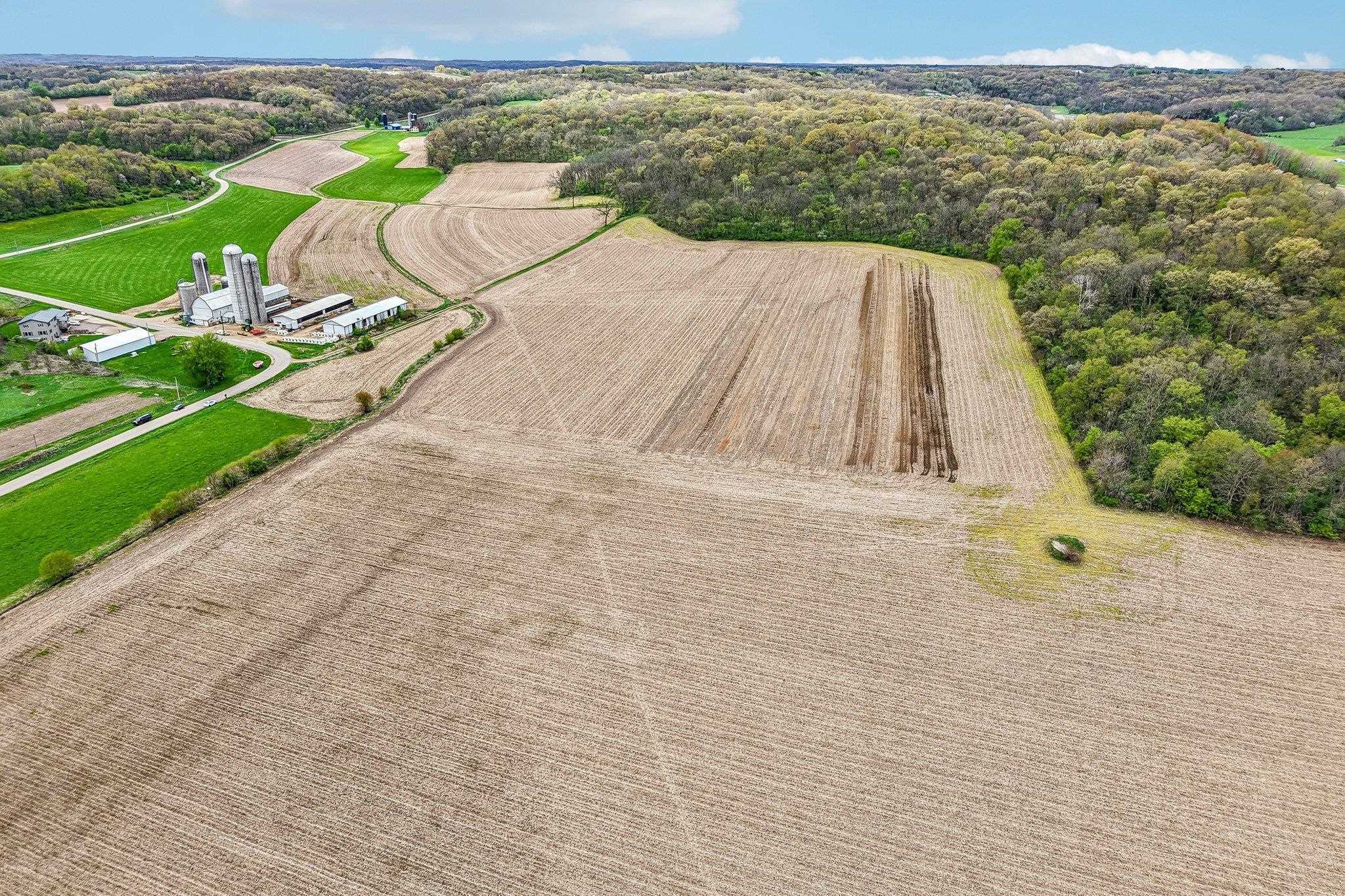 104-acres Fesenfeld Road Black Earth, WI 53515 - Photo 6 of 10