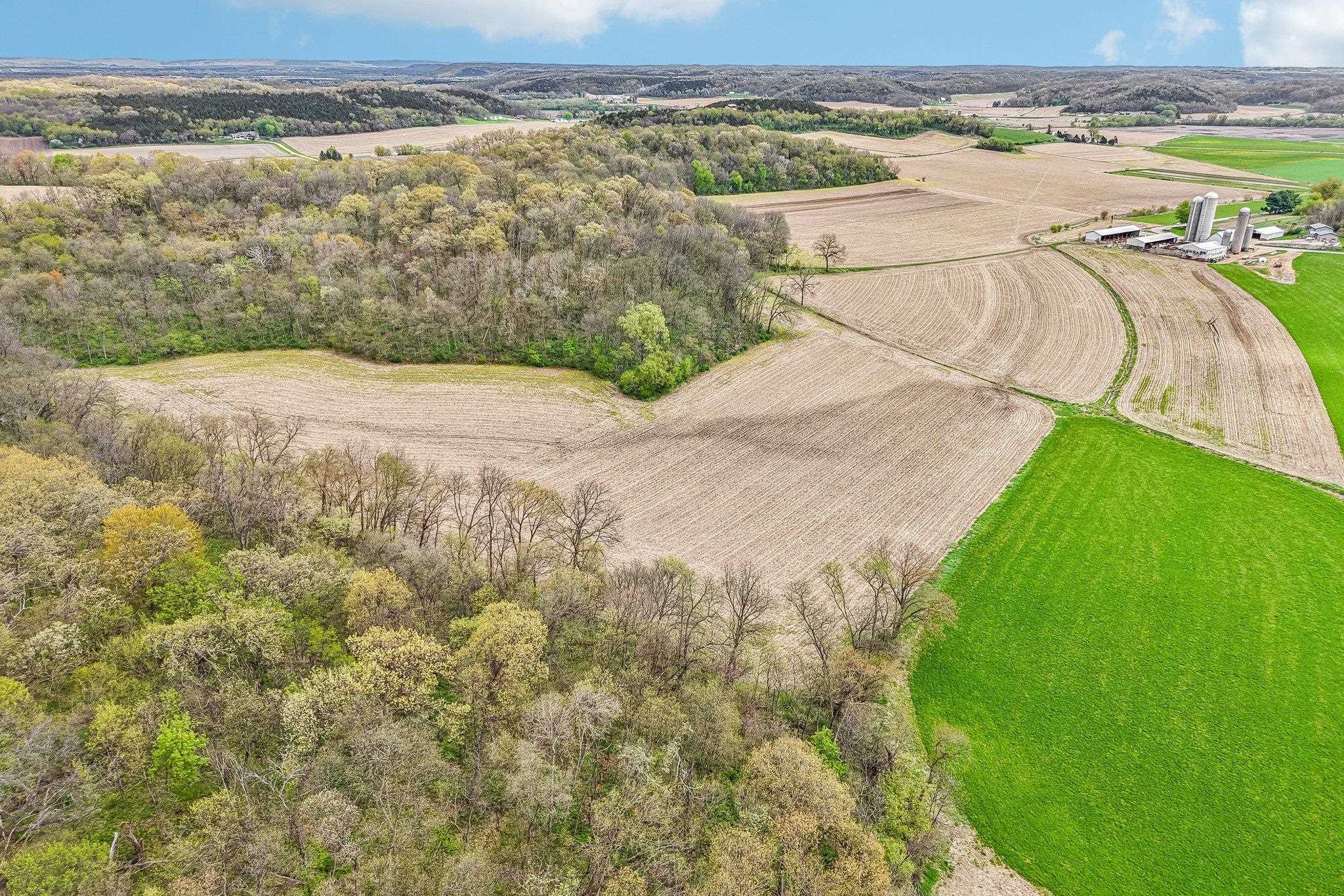 104-acres Fesenfeld Road Black Earth, WI 53515 - Photo 7 of 10