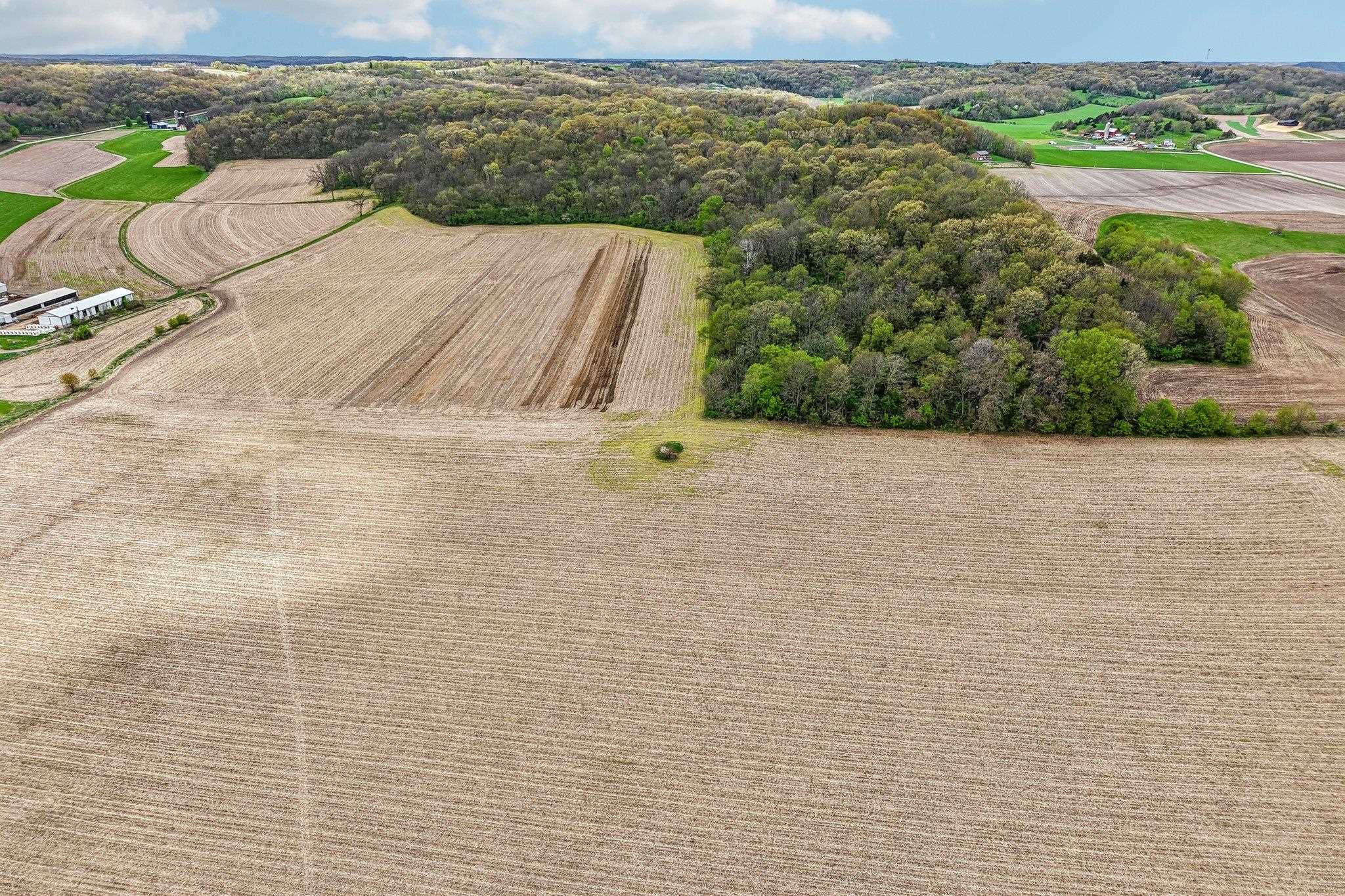 104-acres Fesenfeld Road Black Earth, WI 53515 - Photo 8 of 10
