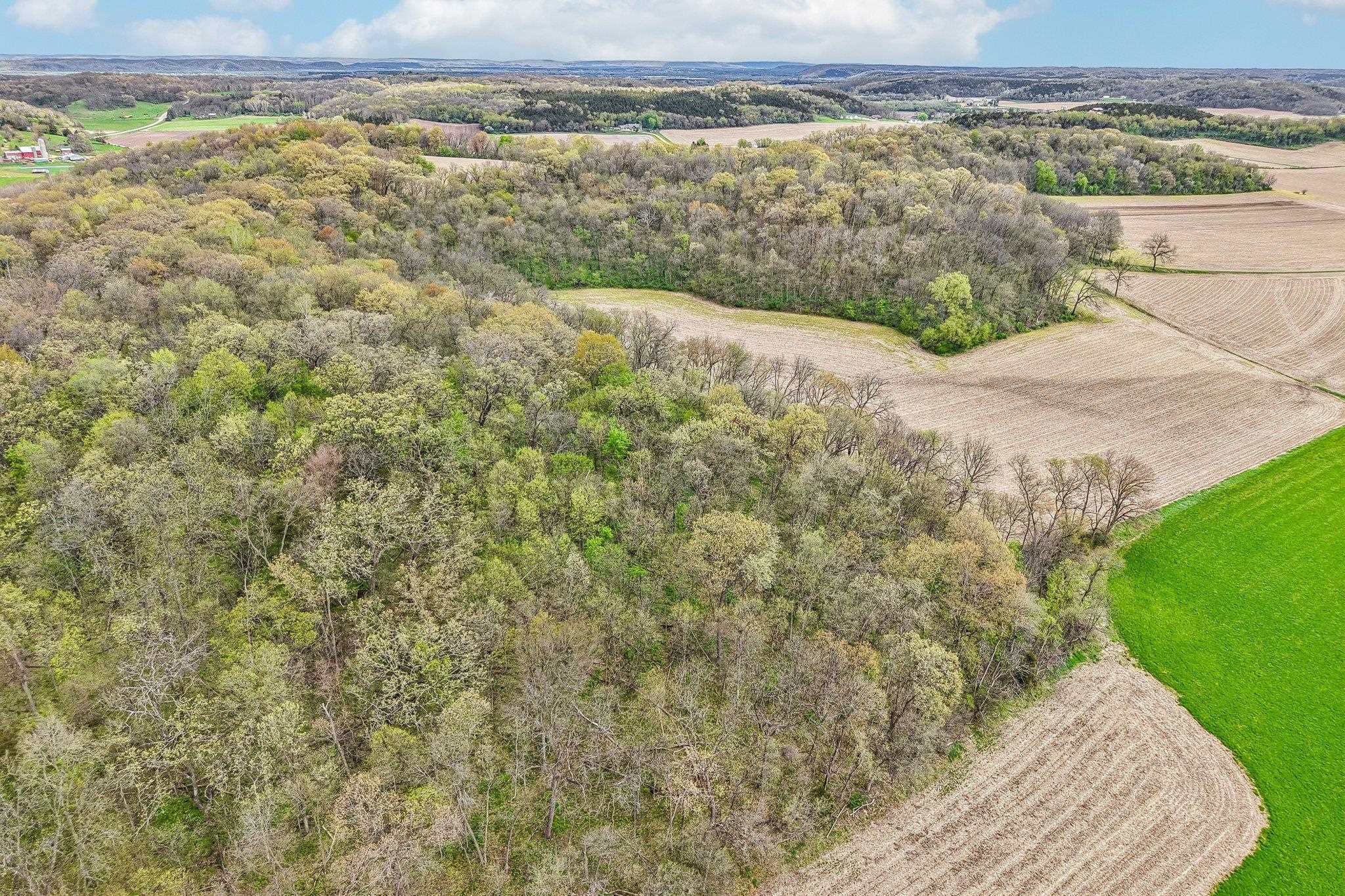 104-acres Fesenfeld Road Black Earth, WI 53515 - Photo 10 of 10