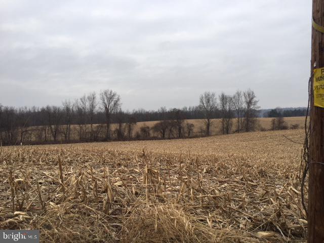 40 Red Mill Road Etters, PA 17319 - Photo 14 of 16 Gallery Image 14