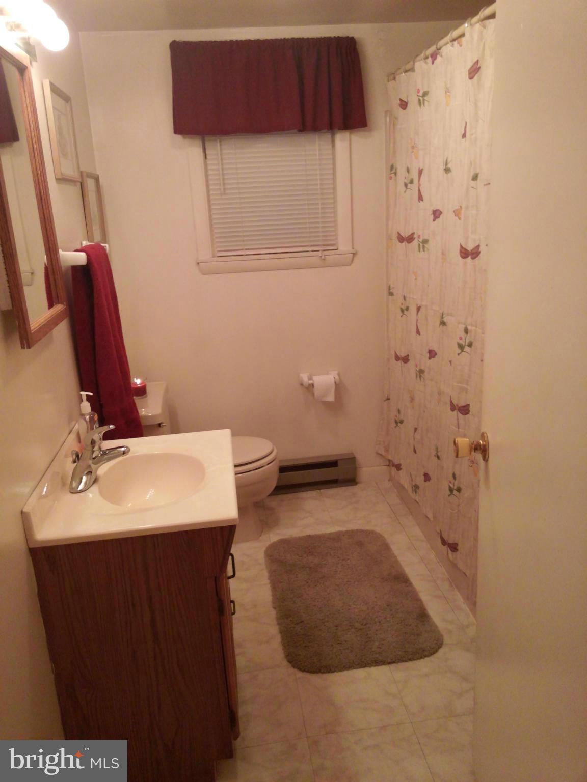 13463 Edgemont Road Smithsburg, MD 21783 - Photo 6 of 10 Bath