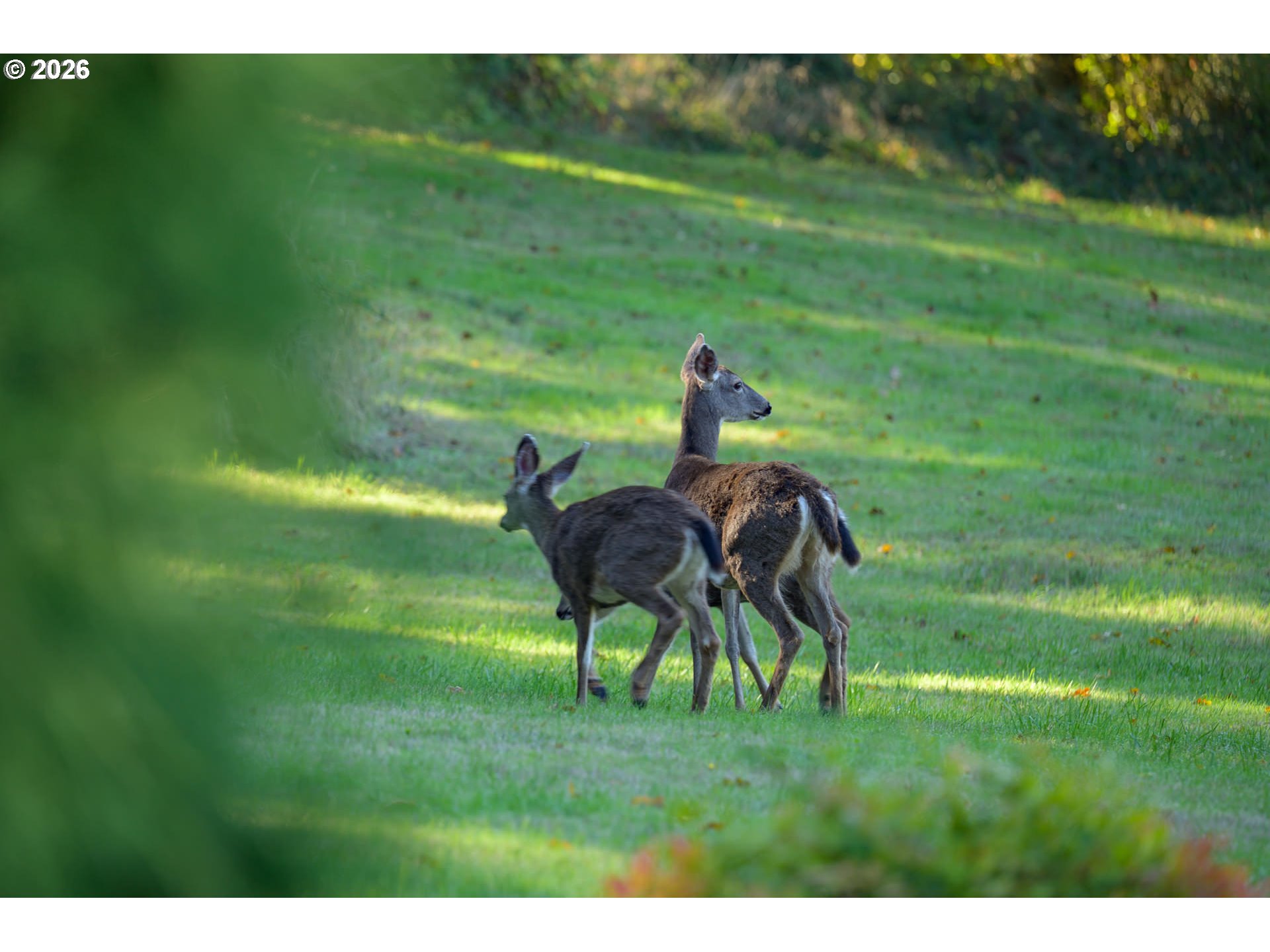 15090 Southeast Woodland Heights Road Amity, OR 97101 - Photo 47 of 48