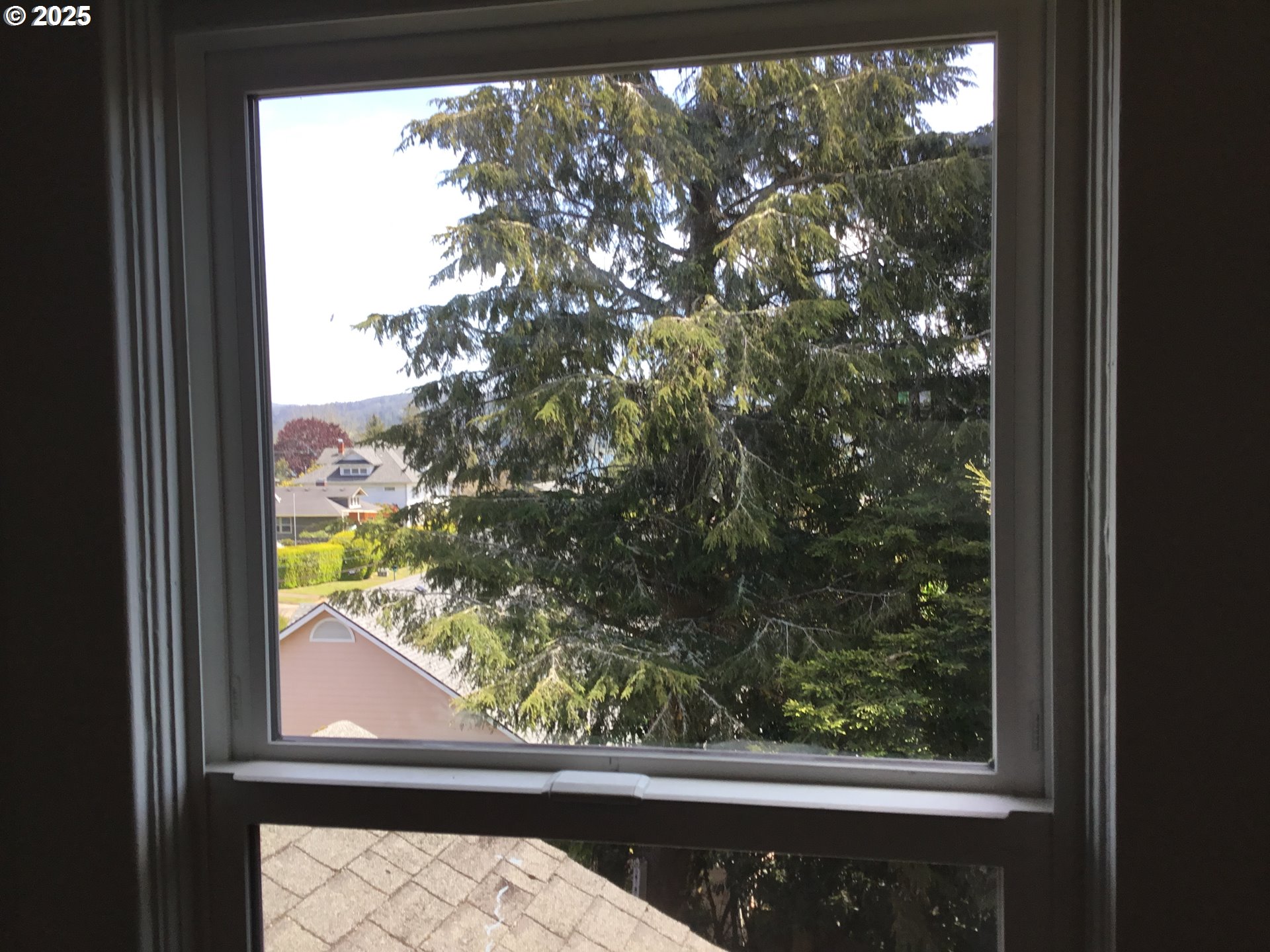 2517 Liberty Street North Bend, OR 97459 - Photo 30 of 42 a view of a glass door with a tree in it