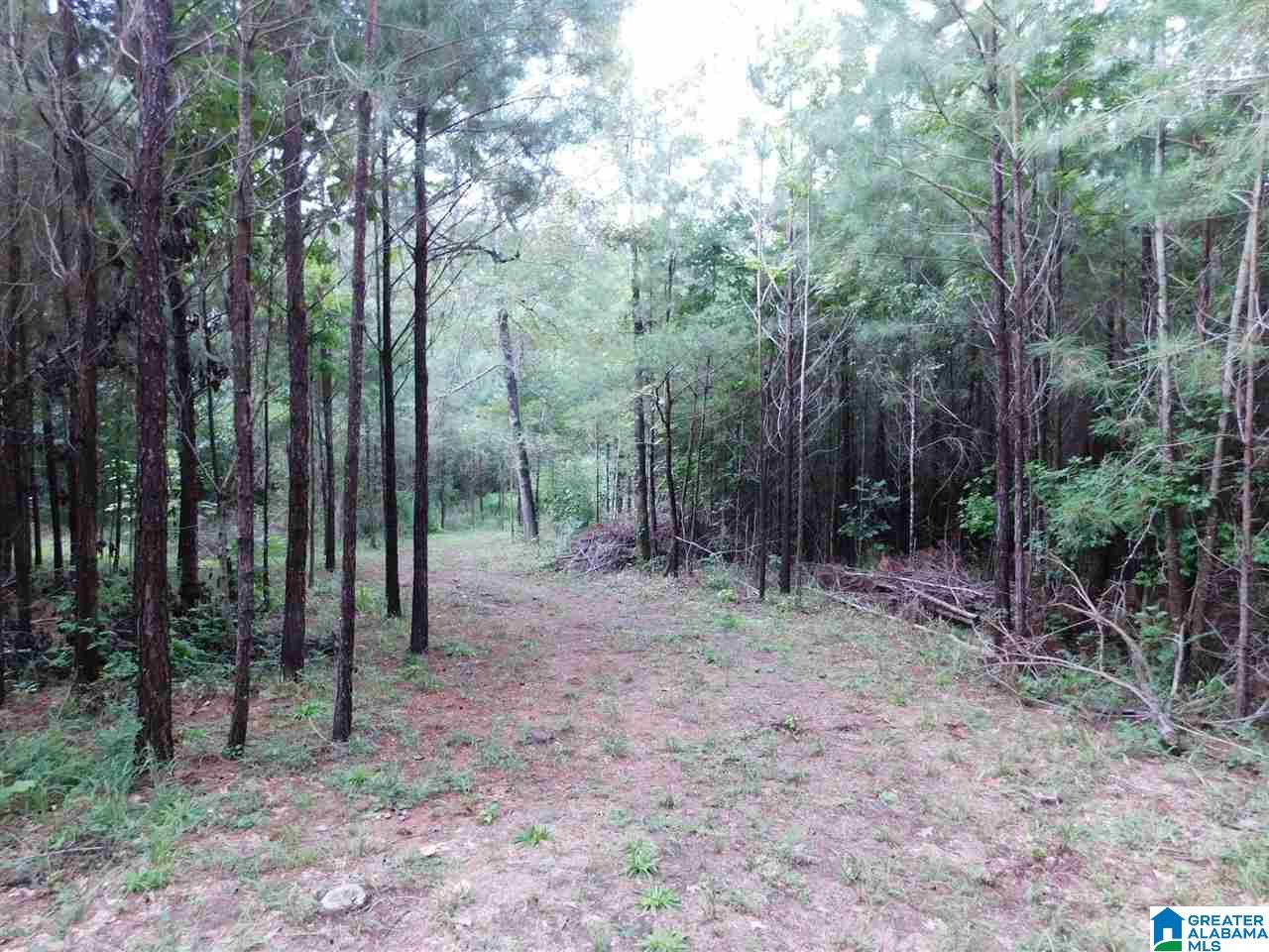 133 County Road, Unit 2 & 3 Empire, AL 35063 - Photo 2 of 15