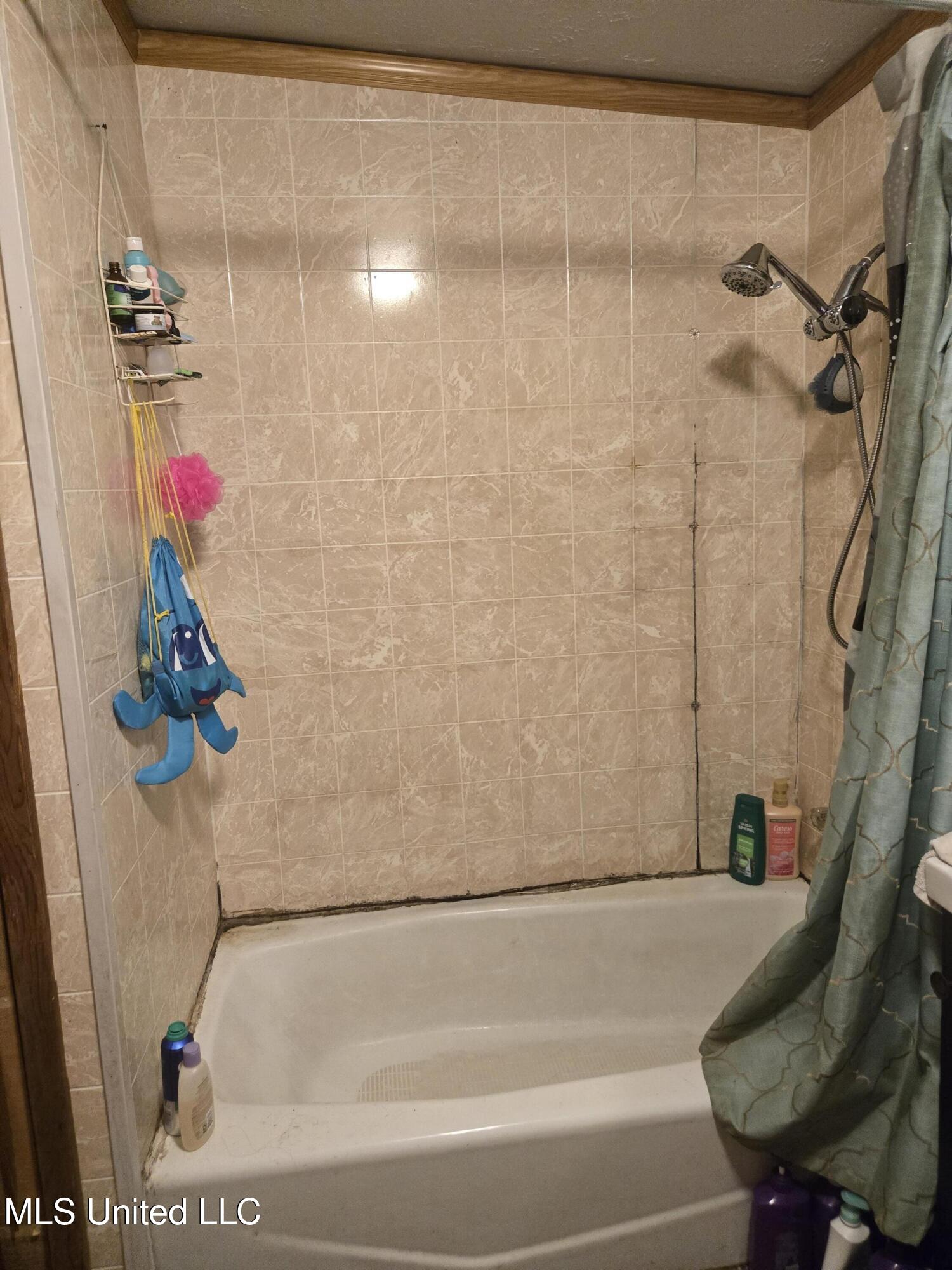 1064 Greens Creek Road Carson, MS 39427 - Photo 7 of 23 7 Cristian Fernandez