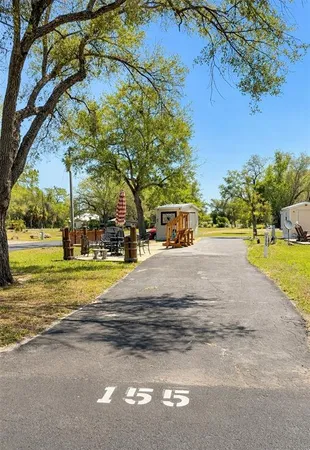 a view of road with large trees