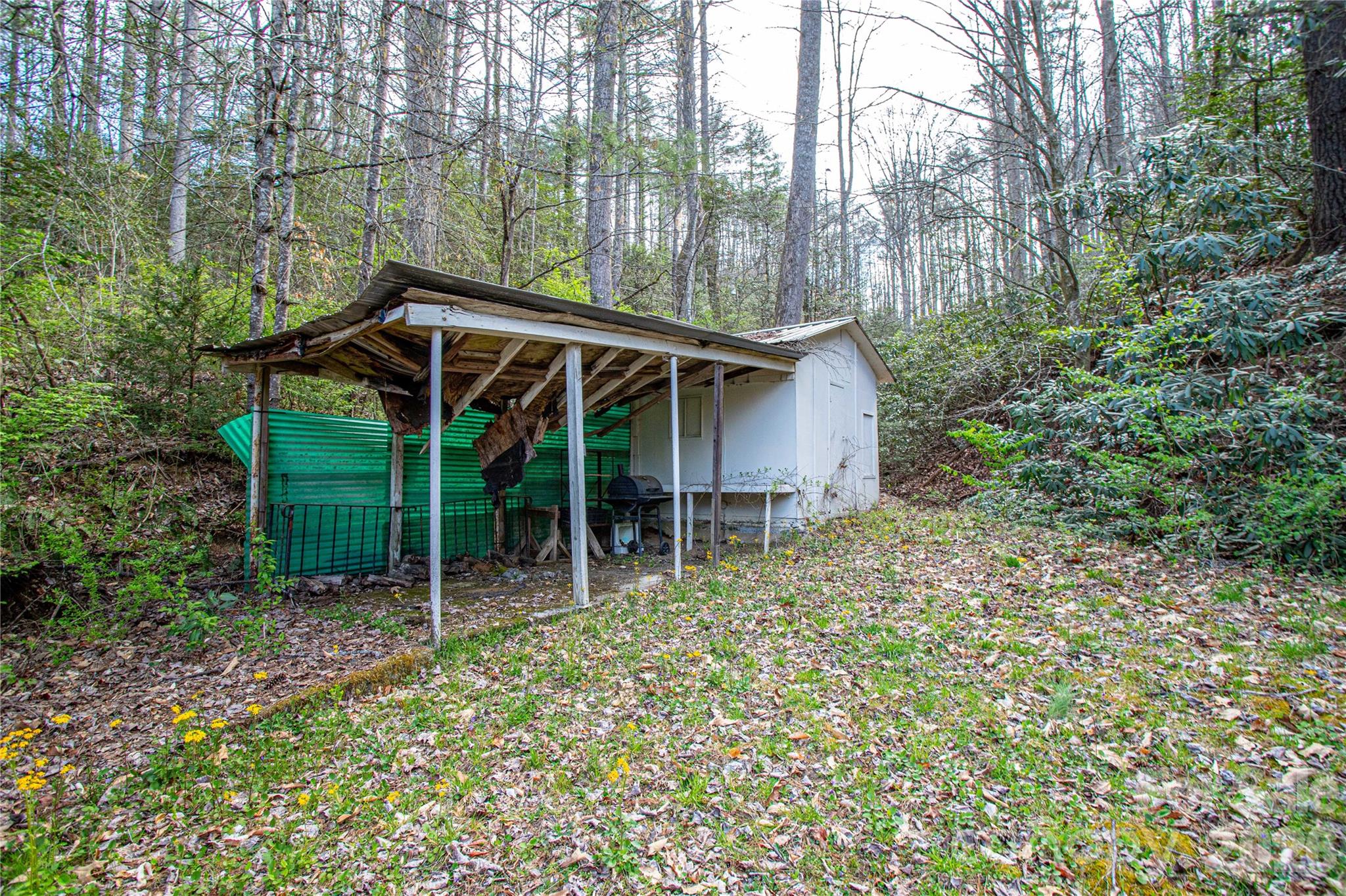 108 Poplar Gap Road Brevard, NC 28712 - Photo 26 of 30