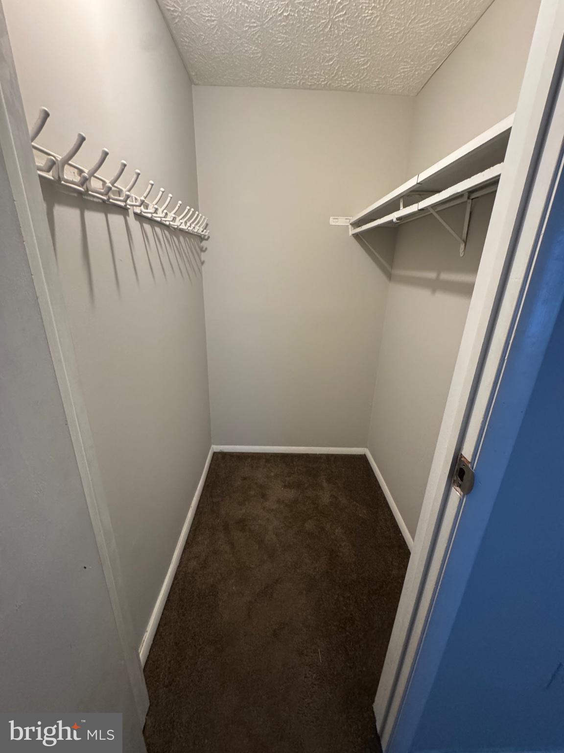 1404 Elm Grove Circle Silver Spring, MD 20905 - Photo 14 of 27 Spacious closet for organized living.