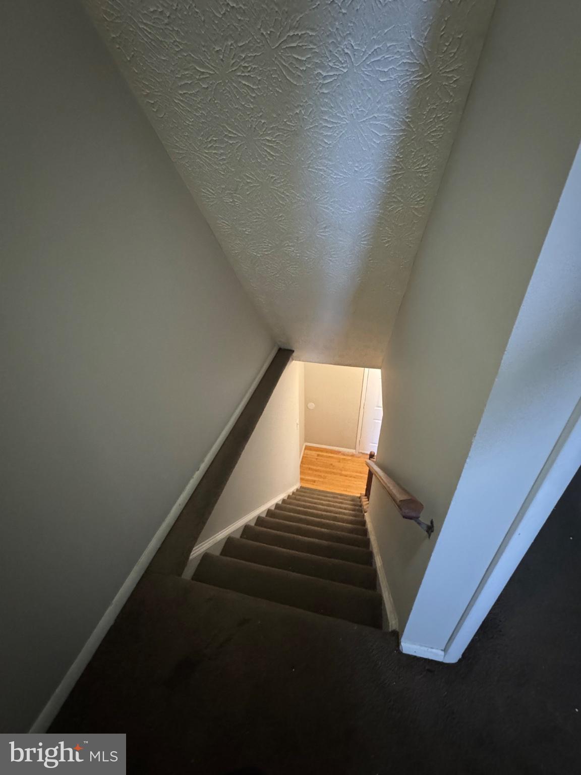 1404 Elm Grove Circle Silver Spring, MD 20905 - Photo 20 of 27 Inviting descent into cozy living space.