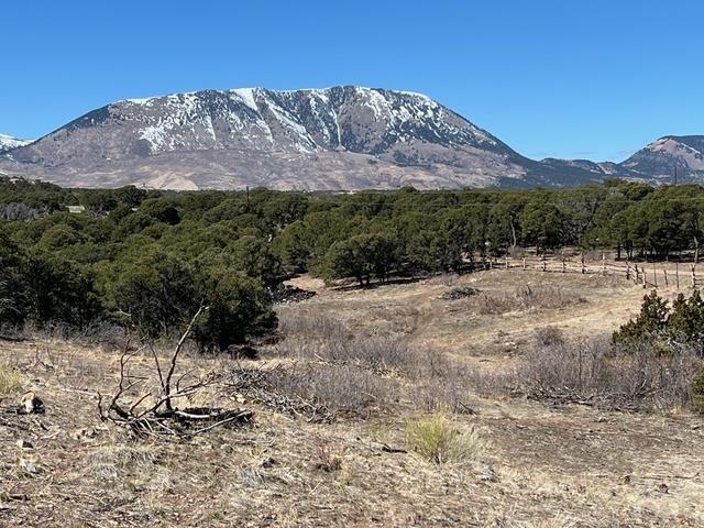 3 B Majors Ranch Road Walsenburg, CO 81089 - Photo 47 of 54