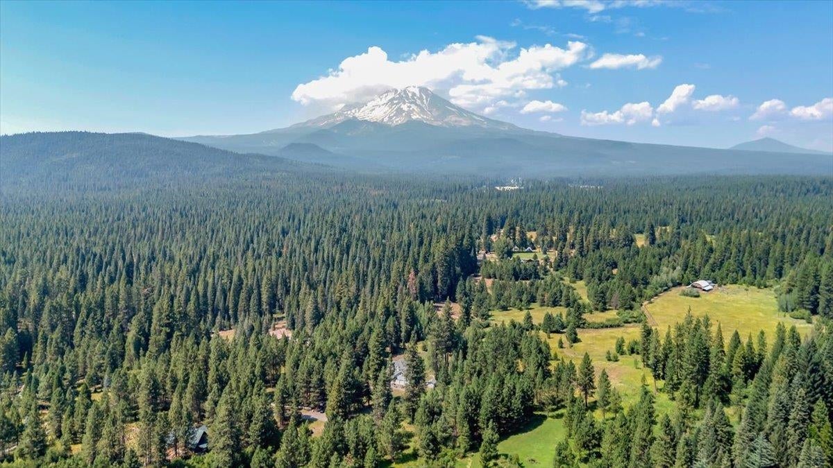 2904 Spring Creek Road McCloud, CA 96057 - Photo 41 of 45 Gallery Image 41