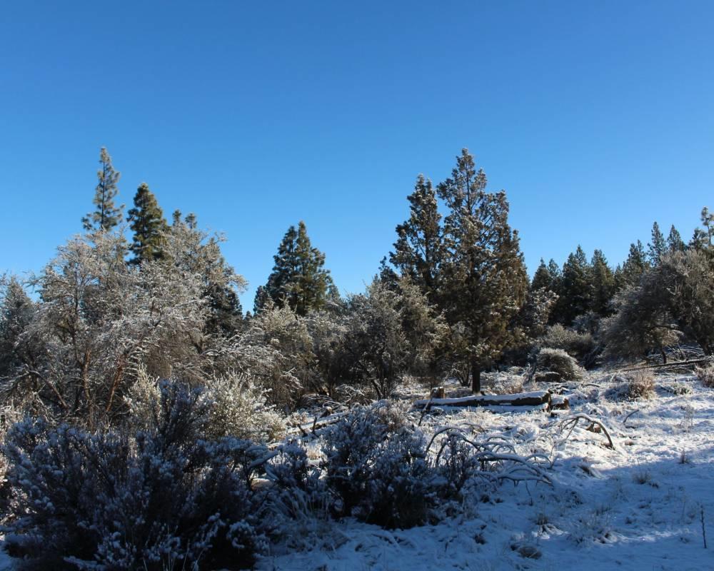 Sycan Road-157ac Beatty, OR 97621 - Photo 11 of 11 12