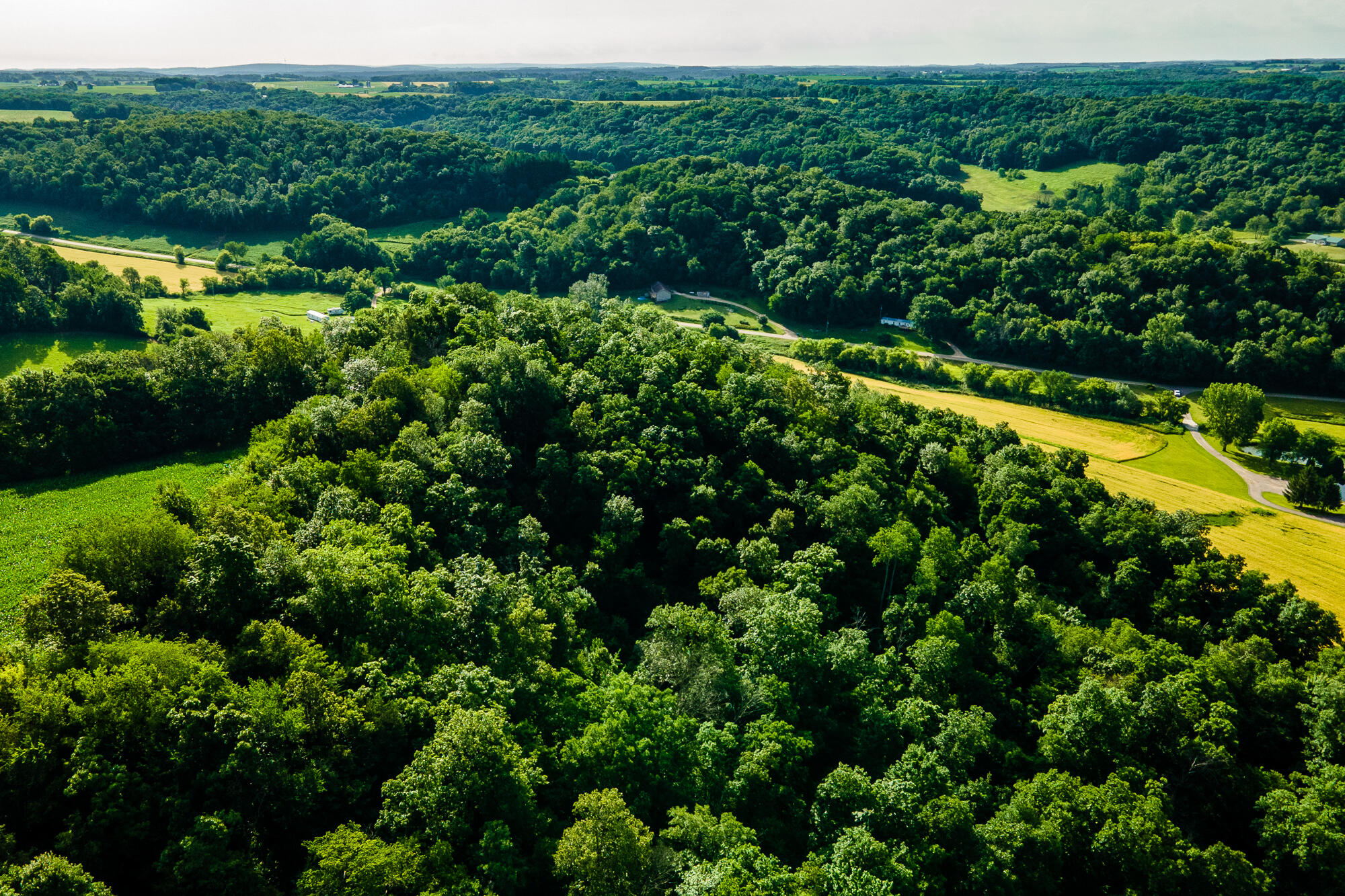 Lt0 Smyth Hollow Road Hillpoint, WI 53937 - Photo 23 of 45 Richland-County-WI-61-Acres-Land-For-Sal