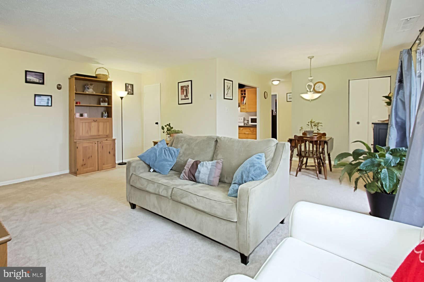 6141 Edsall Road, Unit M Alexandria, VA 22304 - Photo 6 of 19 Living Room